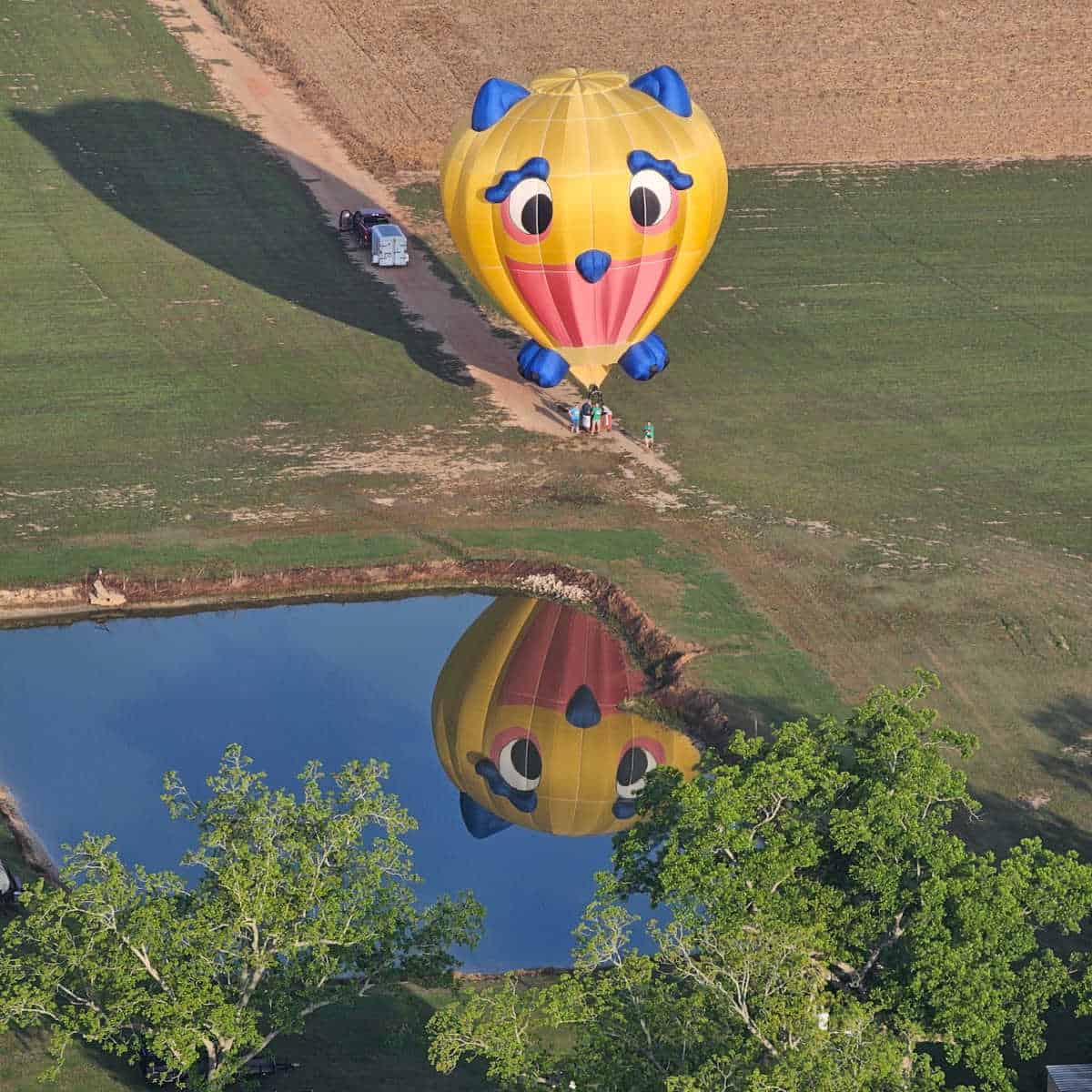 owl hot air balloon on the ground reflecting into a pond nearby