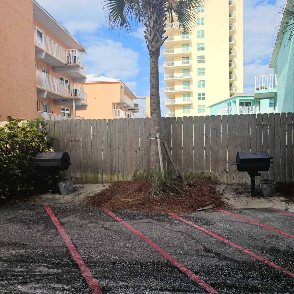 Two black metal barbecues by a palm tree and fence in the parking area
