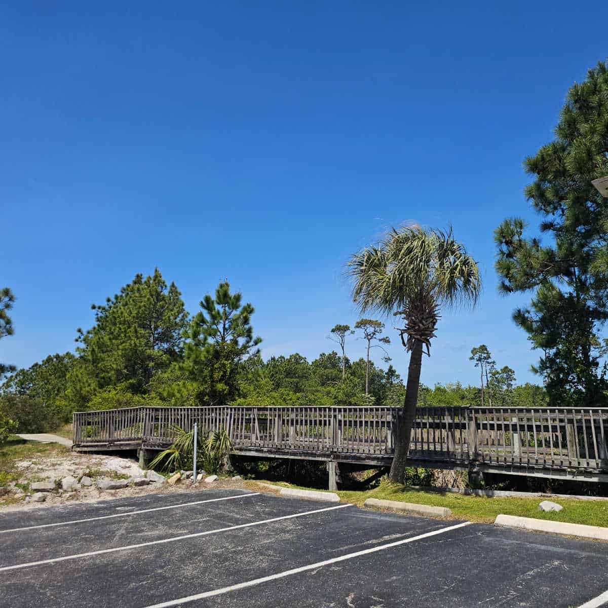 wooden trail leading to the bike trail with palm trees and trees next to the parking lot