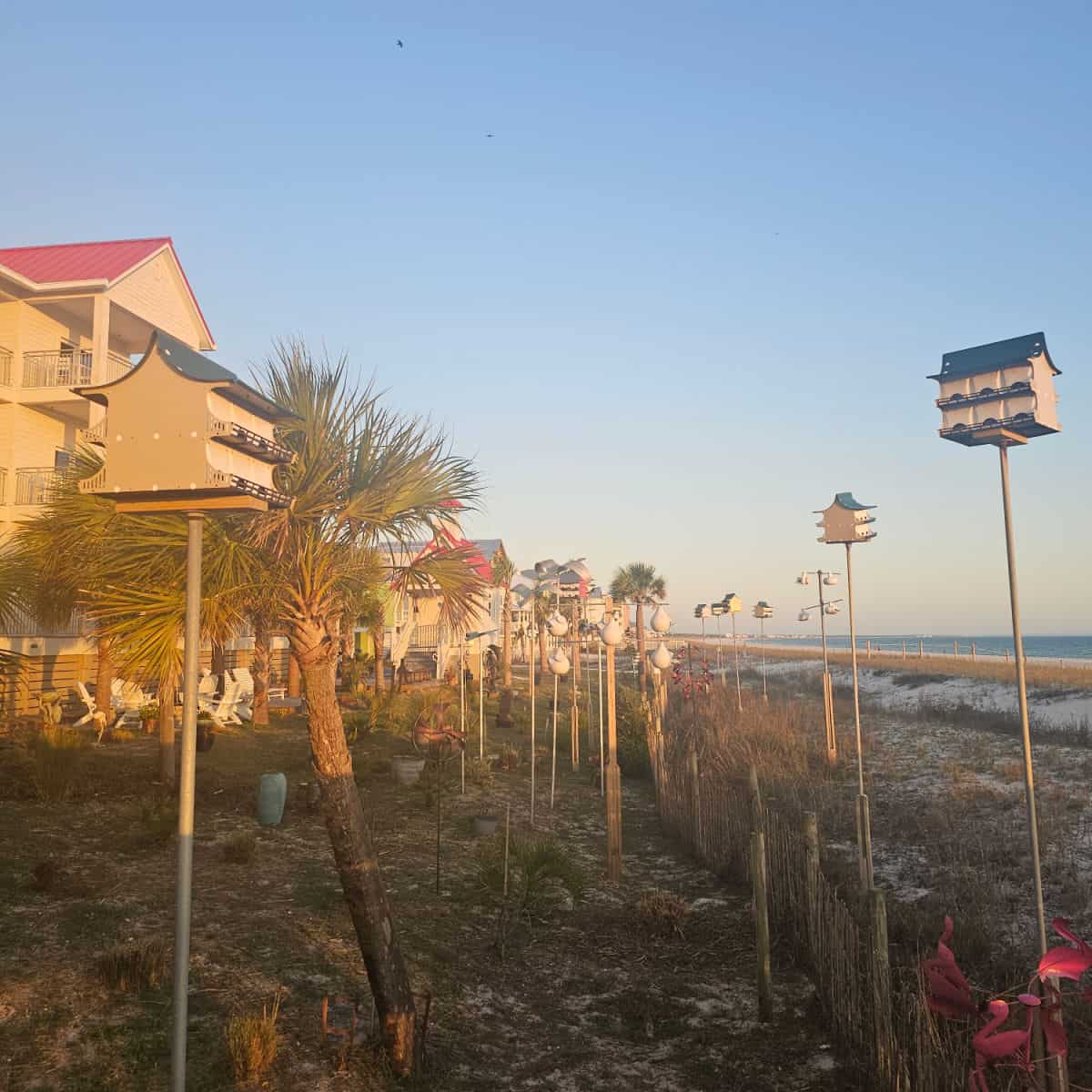 rows of bird houses and purple martin houses with palm trees and the Gulf in the background