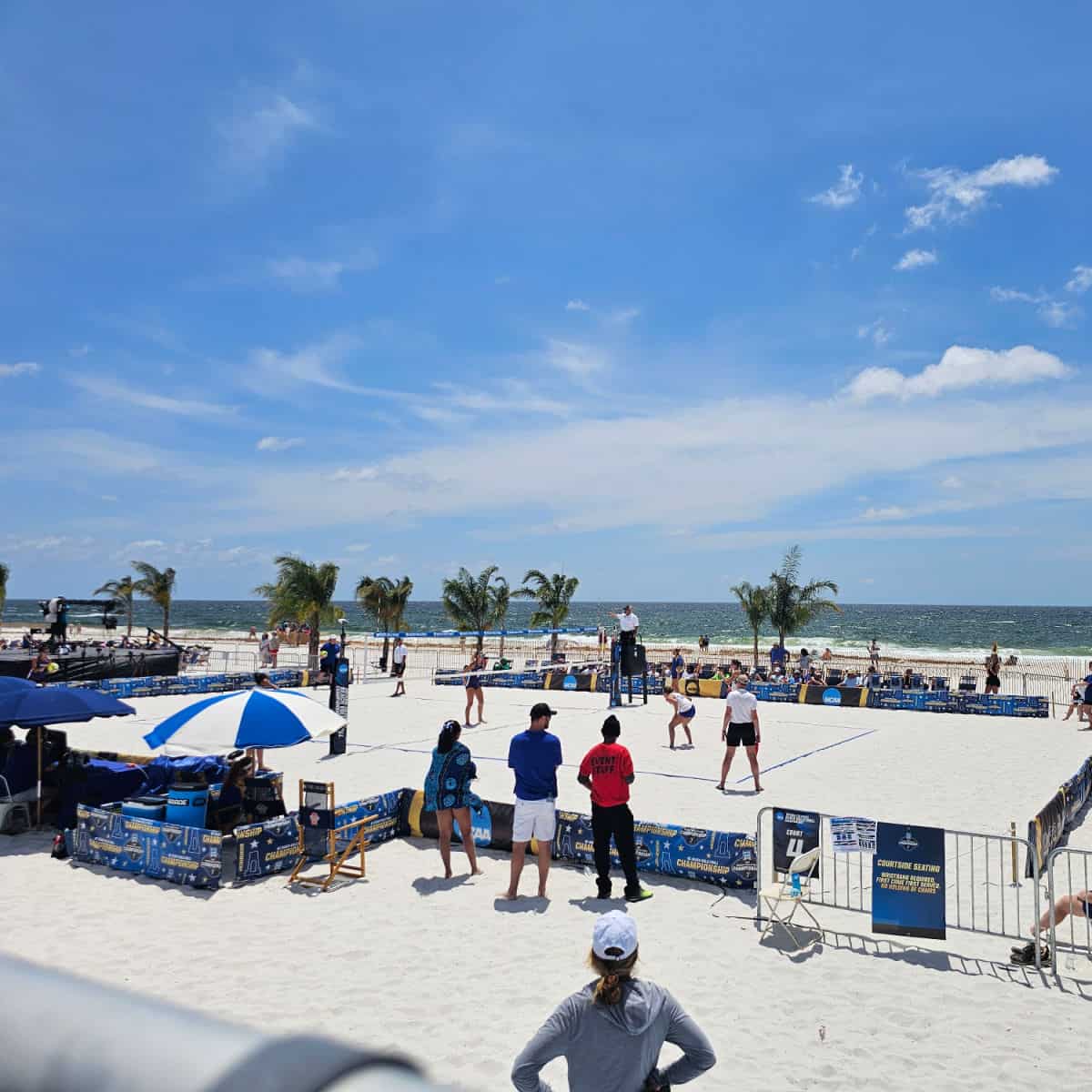 Looking over the sand to a beach volleyball match, Gulf in the background with palm trees on a sunny afternoon