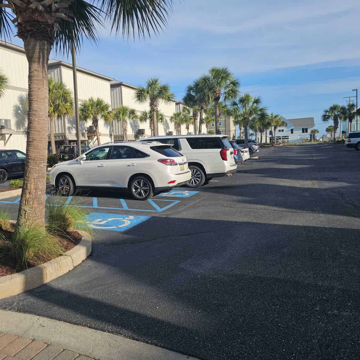 Parking lot with accessible parking at the front, palm tree near the curb, blue house across the street