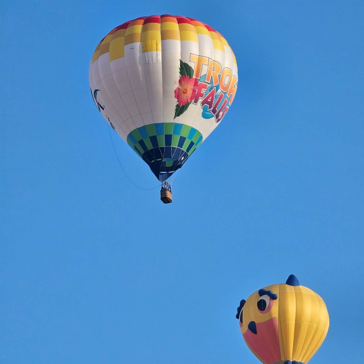 Tropic Falls Hot Air balloon floating above a cartoon owl balloon