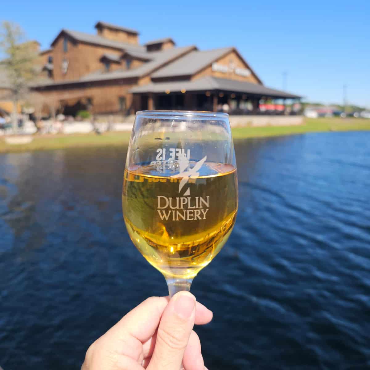 Hand holding a wine glass with Duplin Winery printed on it filled with white wine. Duplin Winery Building in the background.