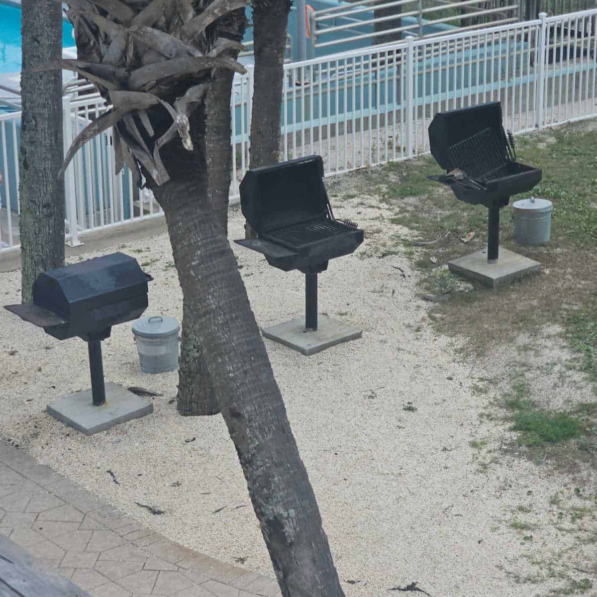 looking down over three barbecues with a palm tree in the middle