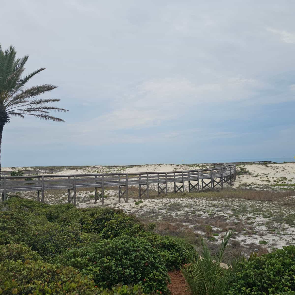wooden boardwalk over the sand dunes with palm tree in the corner