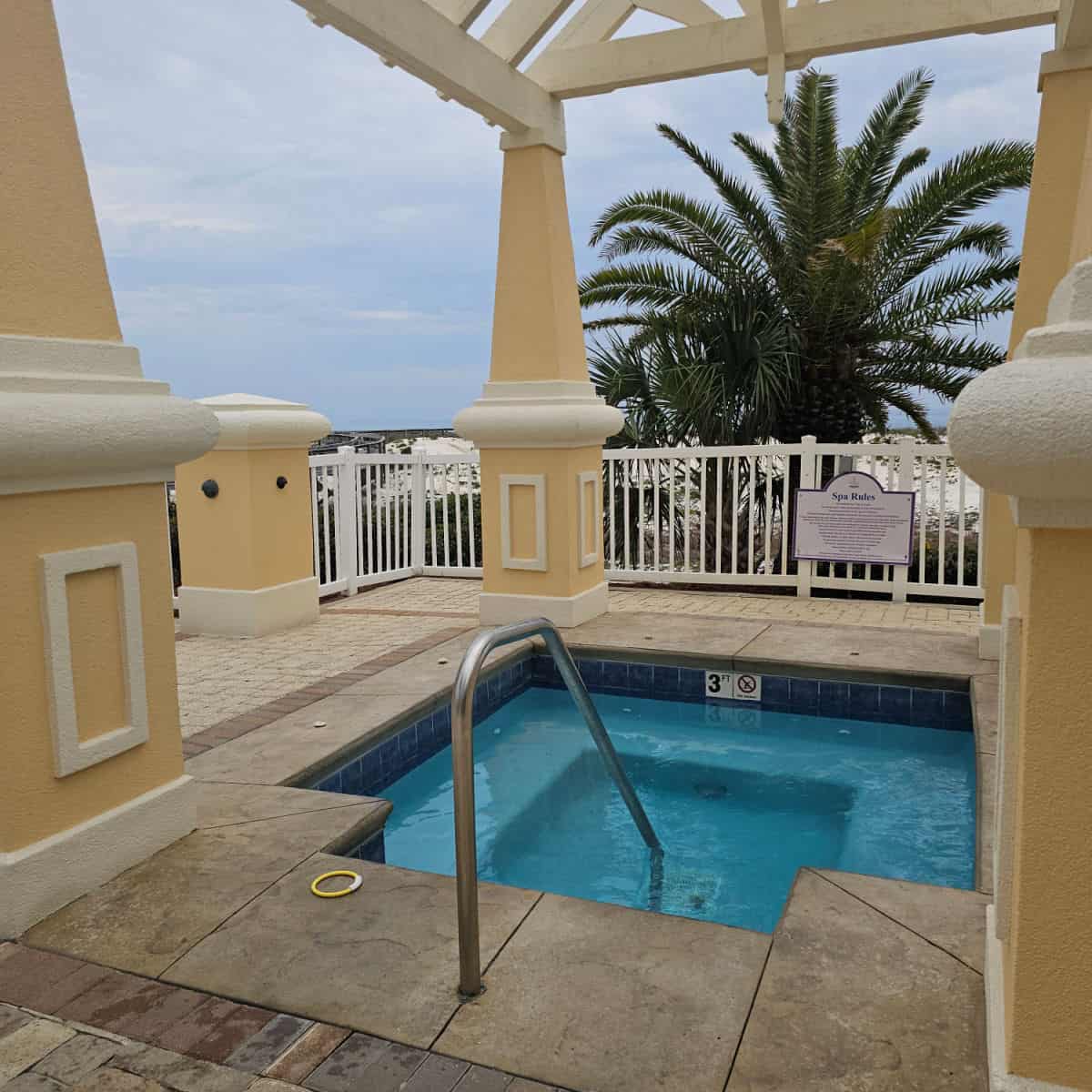 outdoor hot tub with a cover, and palm trees behind it