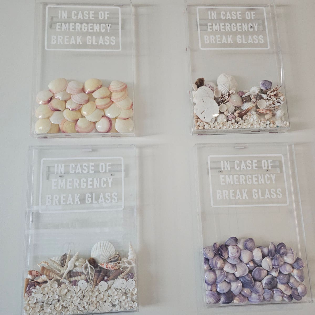 In case of emergency break glass art with shells inside on a white wall
