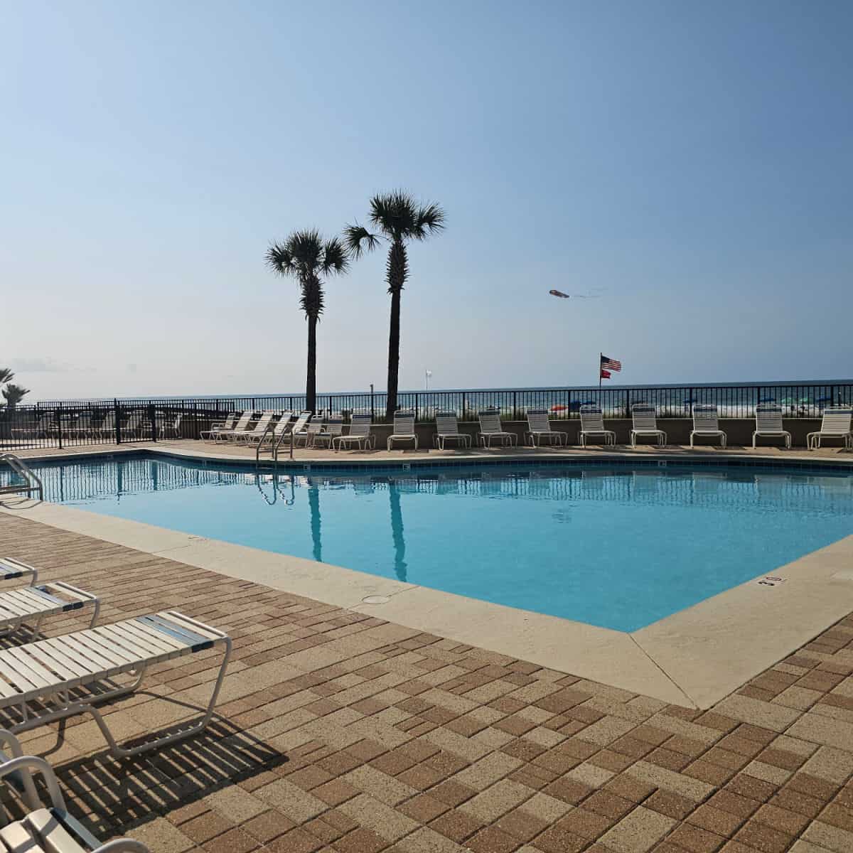 outdoor pool with deck chairs around the pool with two palm trees in the background