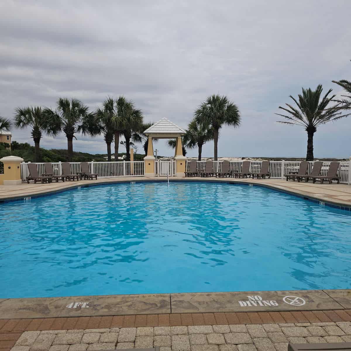 outdoor pool with chairs on the far side, palm trees outside the pool area