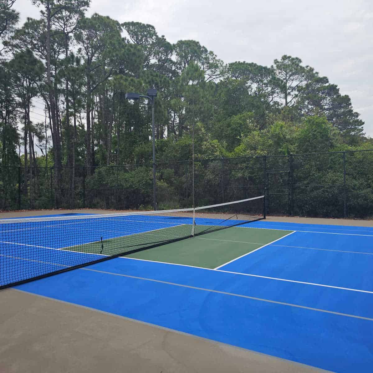 Pickleball Tennis Court with green area in the middle, trees behind a fence