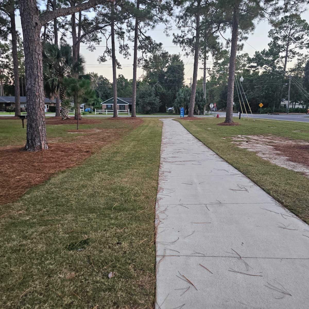 paved path through Meyer Park with trees on either side of the path