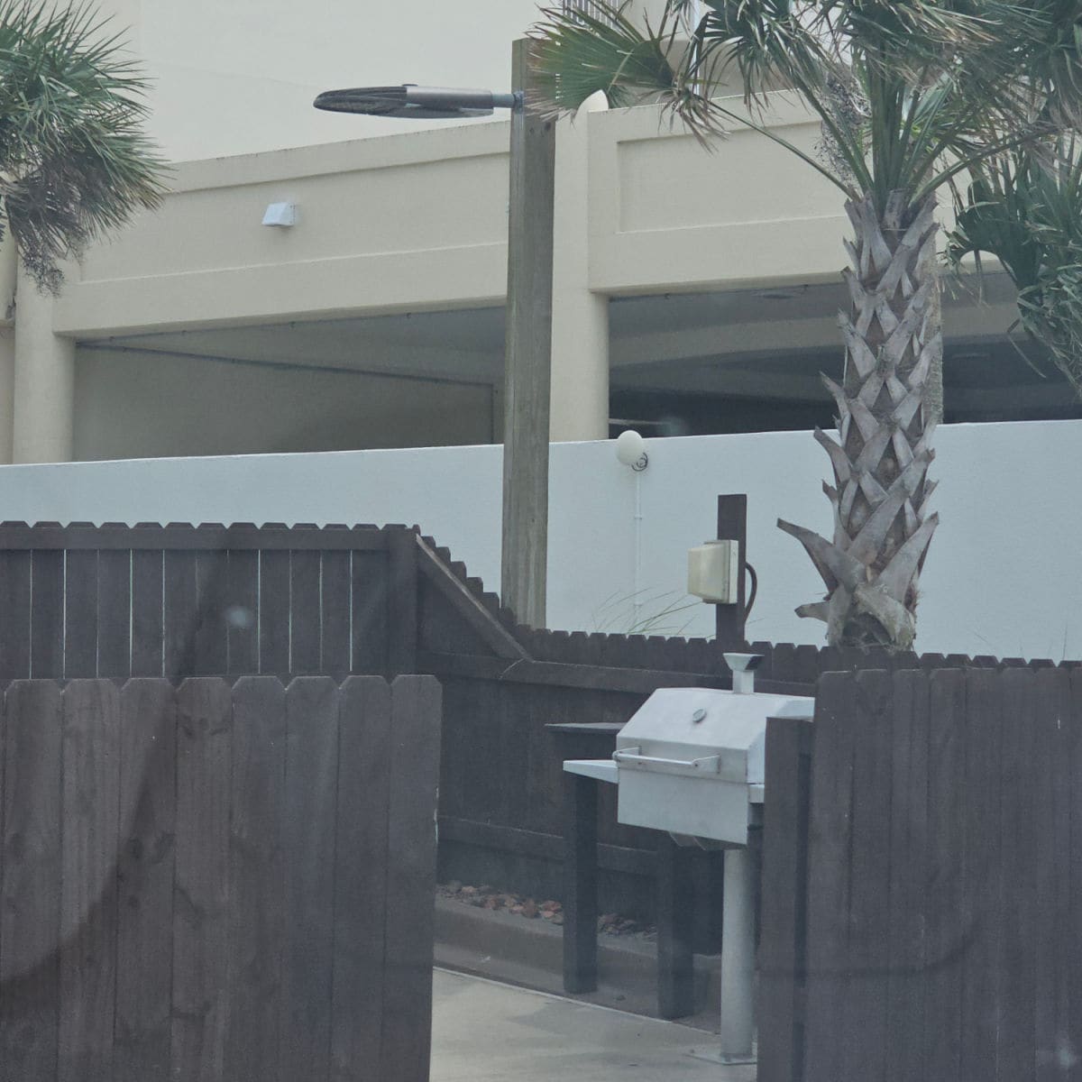 barbecue behind a dark fence with palm trees