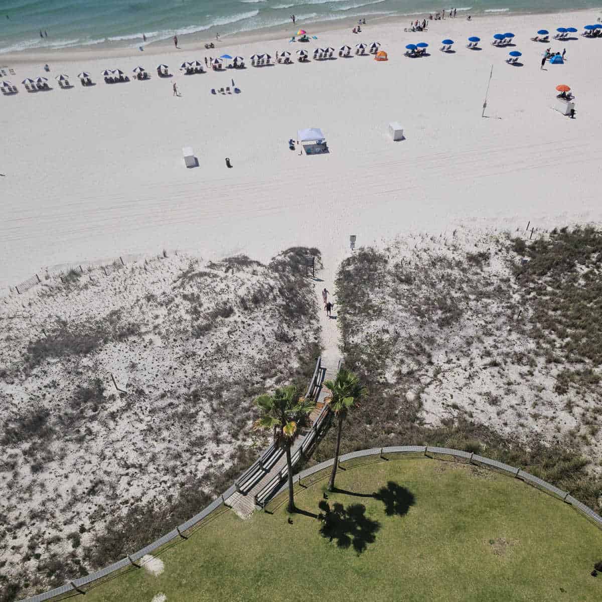grassy area with boardwak through the sand dunes to the white sand beach and gulf waters