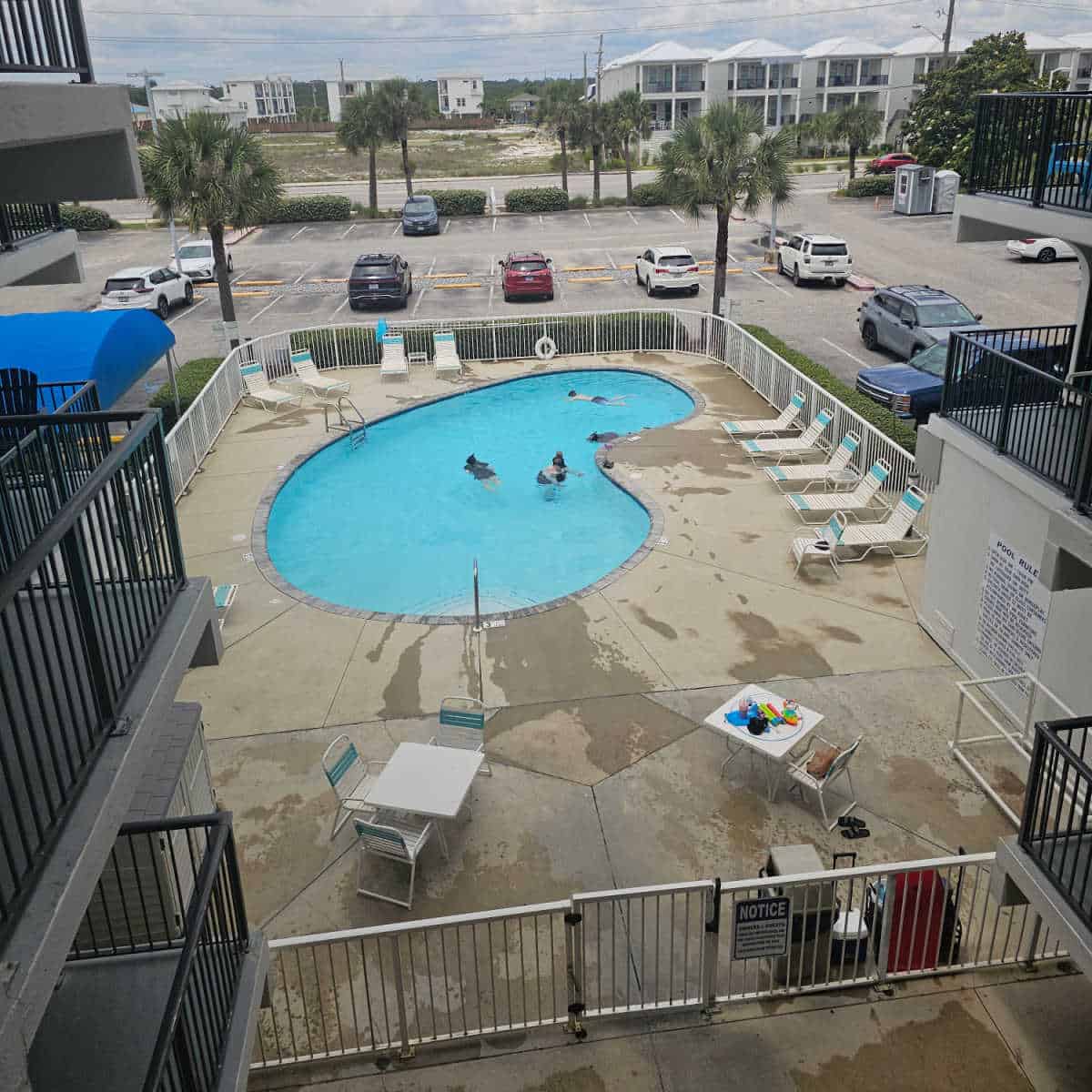 looking out over the outdoor pool with lounge chairs around the pool deck, palm trees in the parking lot