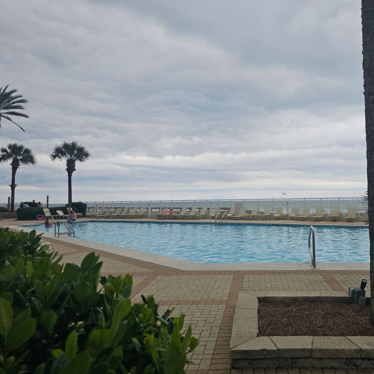 outdoor pool deck with palm trees to the side, lounge chairs lined up in front of a fence