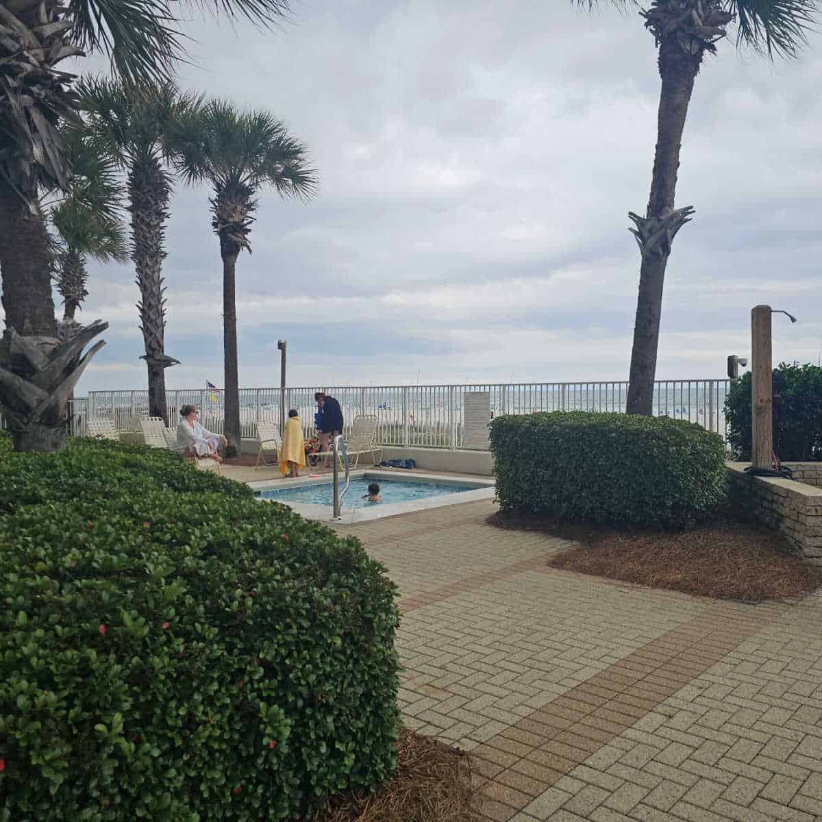 looking over bushes to a small pool, fence in the background with palm trees