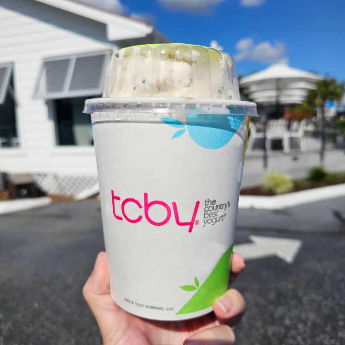 hand holding a to go container of frozen yogurt