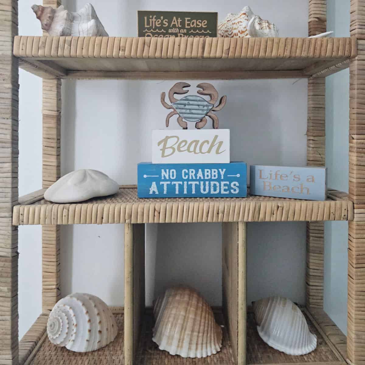 shelf with shells, beach sign, and lifes a beach signs