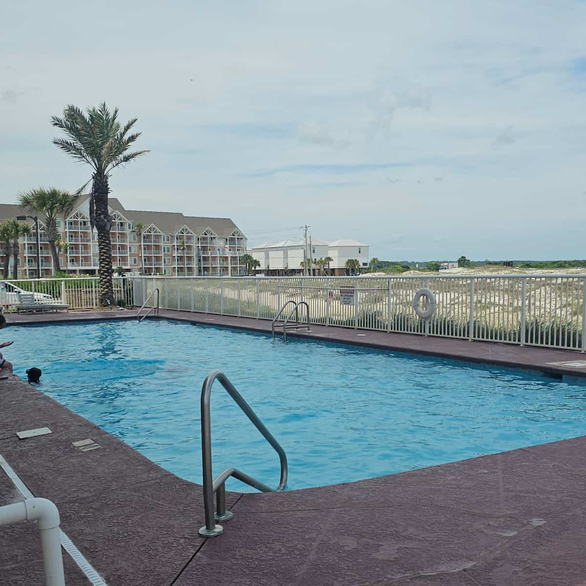 outdoor pool with a couple of palm trees near it, fence and then sand dunes. Tall building in the background