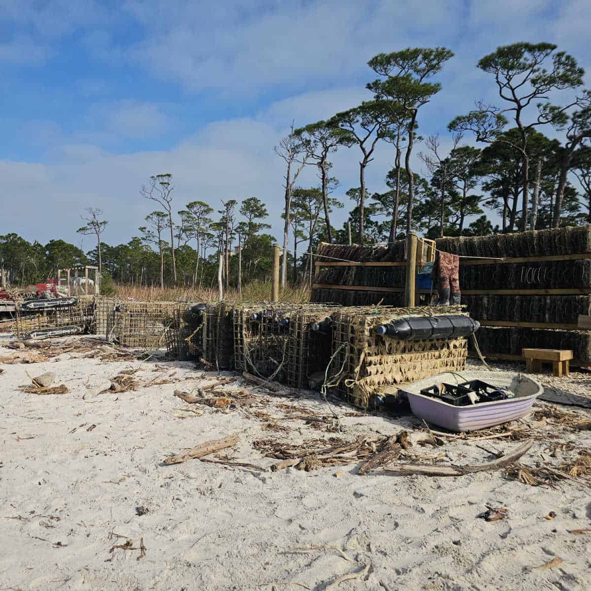 rows of oyster cages with tall trees behind them
