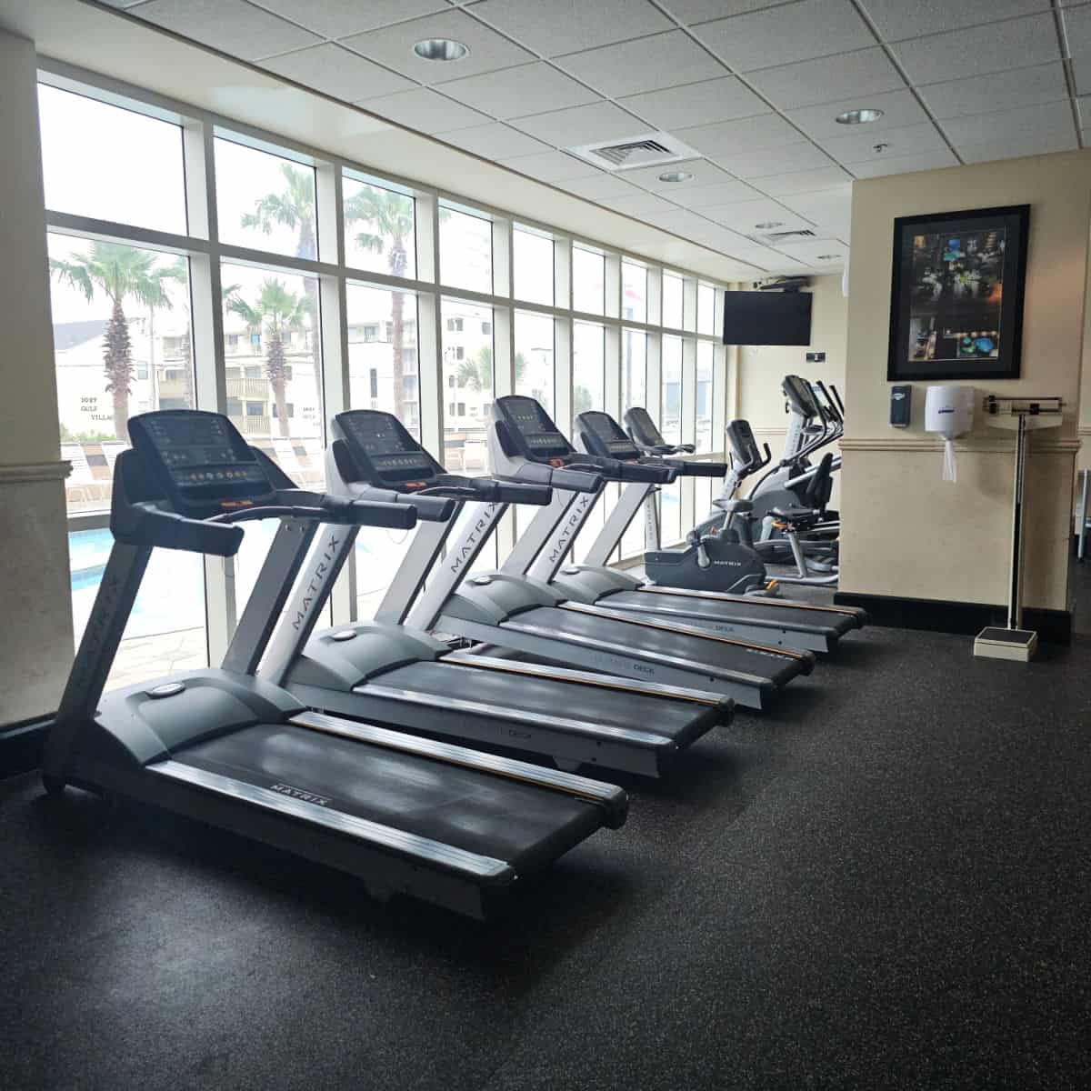 fitness center with a row of treadmills by a large window