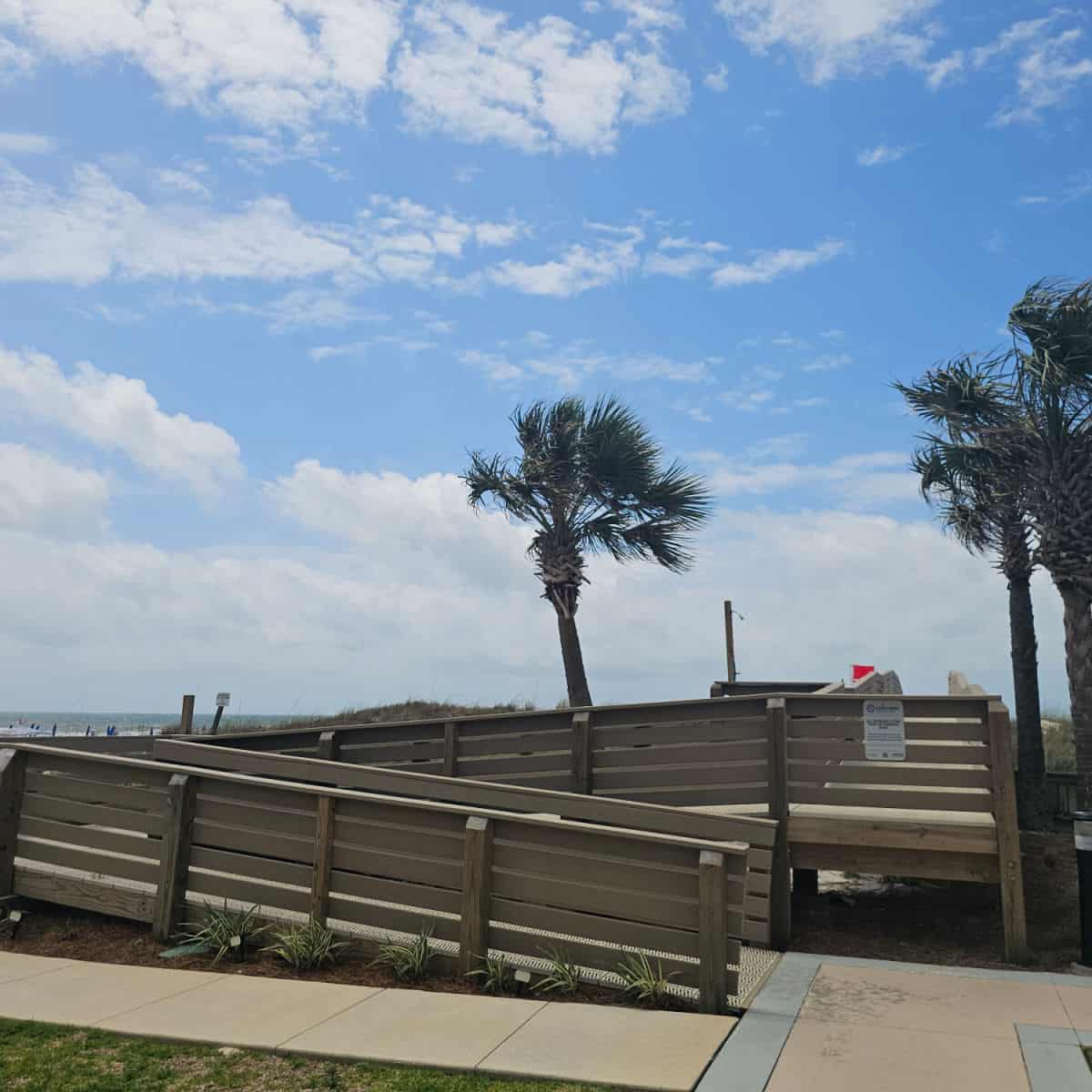 boardwalk with palm trees next to it with a ramp leading up to get to the beach