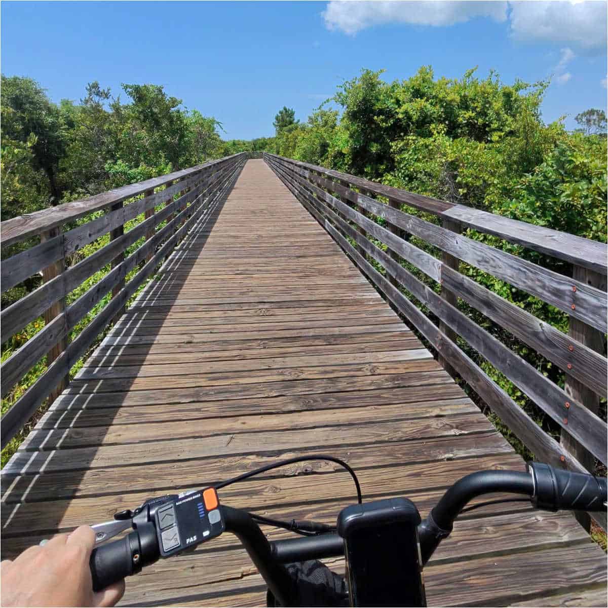 looking over bike handlebars to a wooden boardwalk with trees on each side