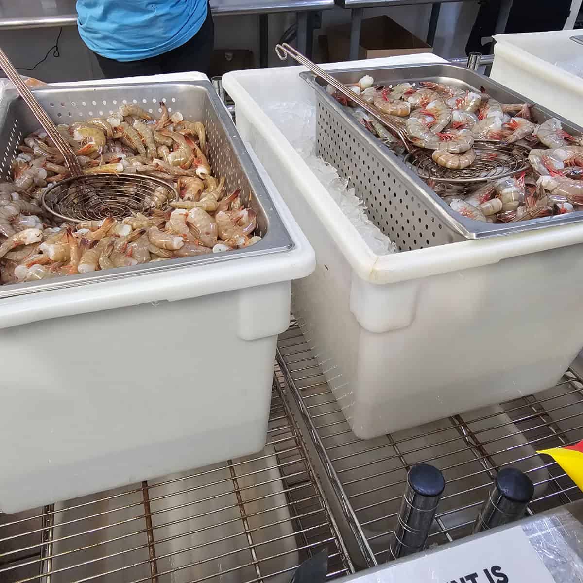 shrimp in a metal bucket with a strainer sitting in a bucket of ice