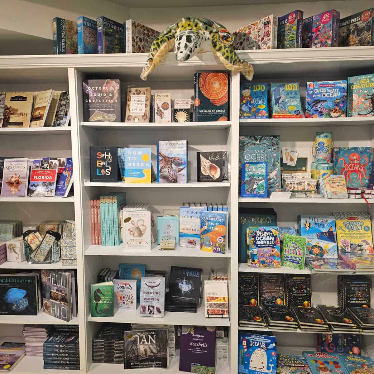 books and a turtle stuffed animal on bookshelves