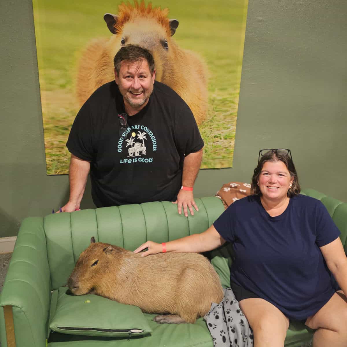 Tammilee sitting on a green couch with a capybara, johnn standing behind the couch with a big capybara poster behind him