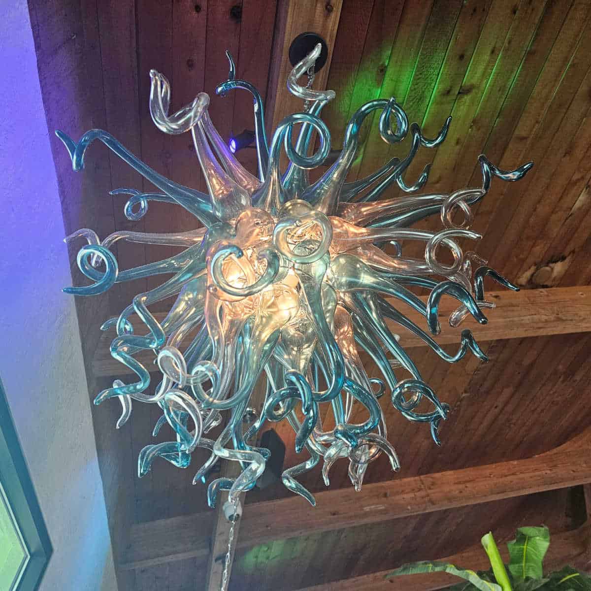 amazing blue and white blown glass chandelier with curly glass ends