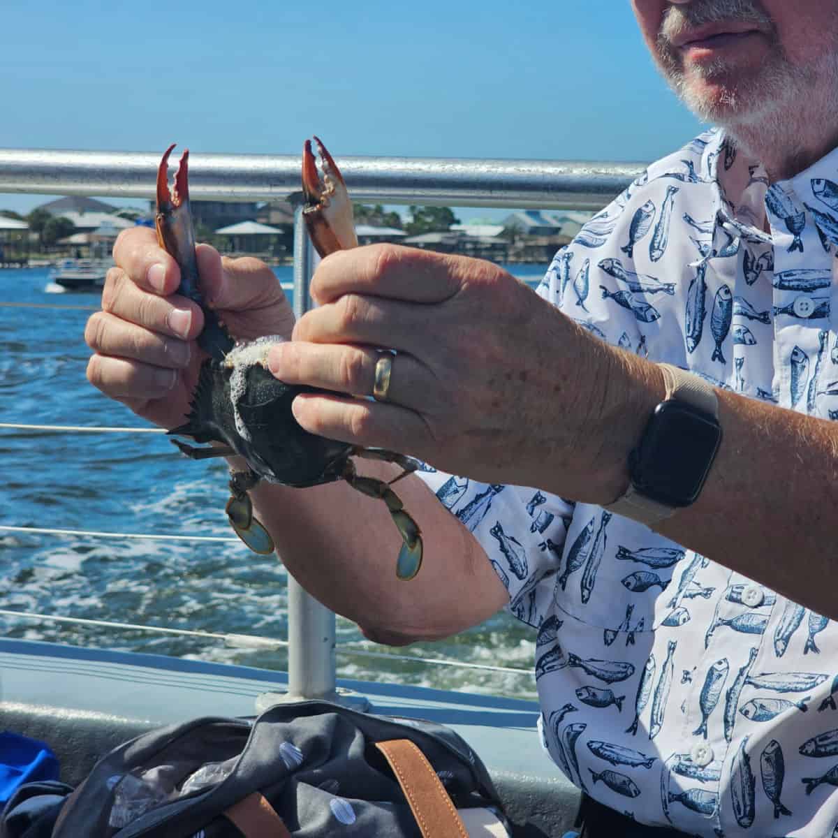 man holding a crab
