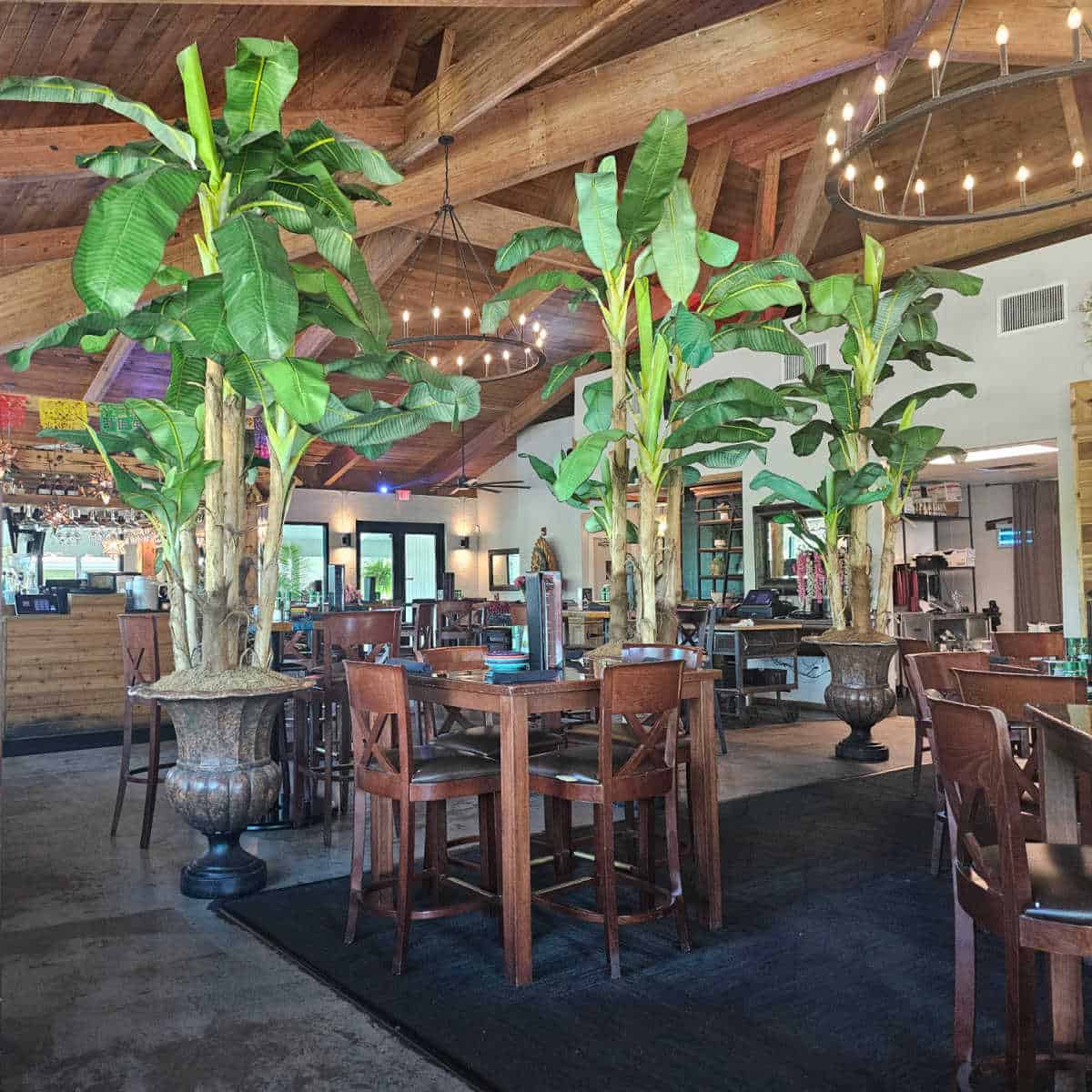restaurant interior with tall brown tables and chairs, a row of large pots with banana plant leaves coming out of the, bar in the background and glass doors near it