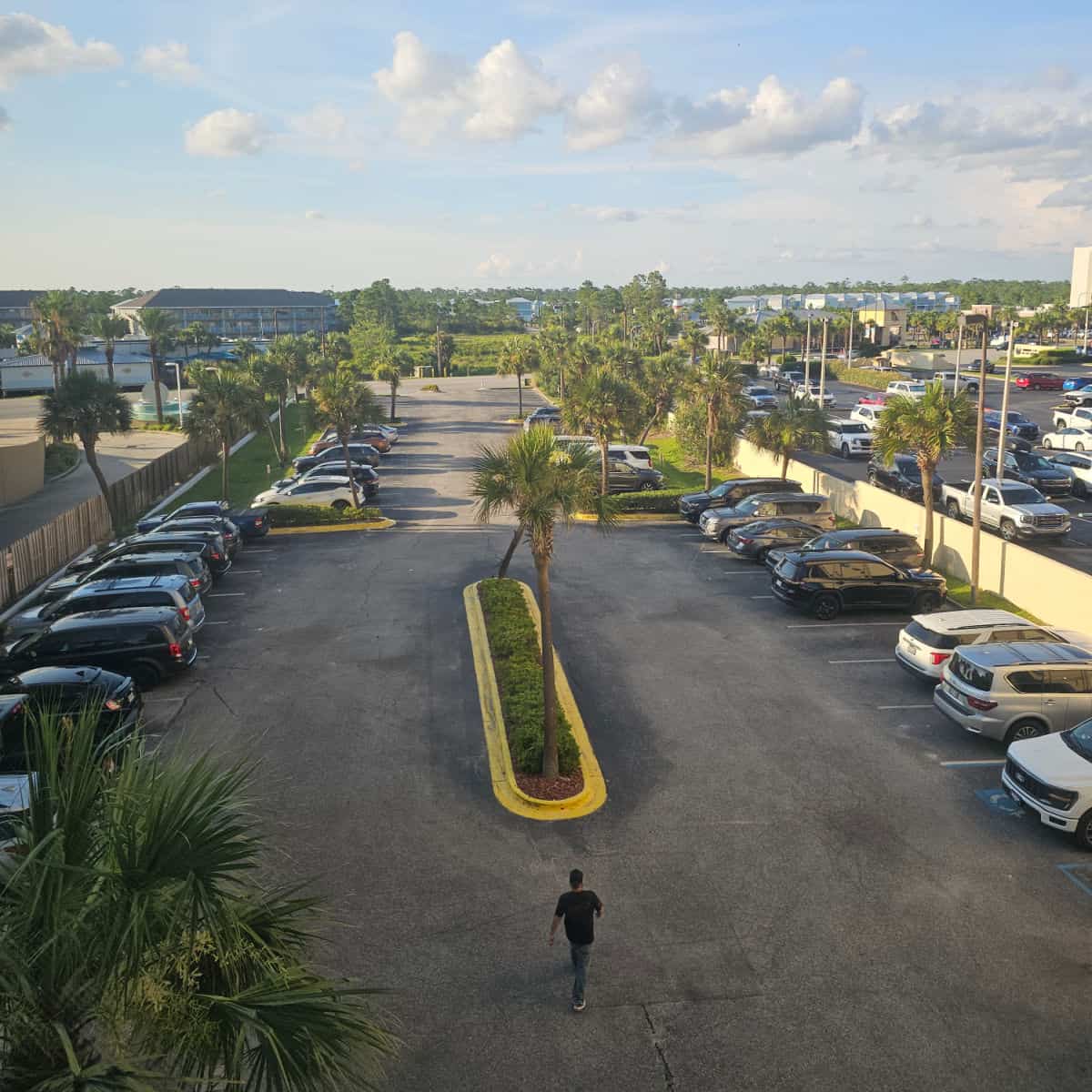 looking over the parking area with palm trees in the middle