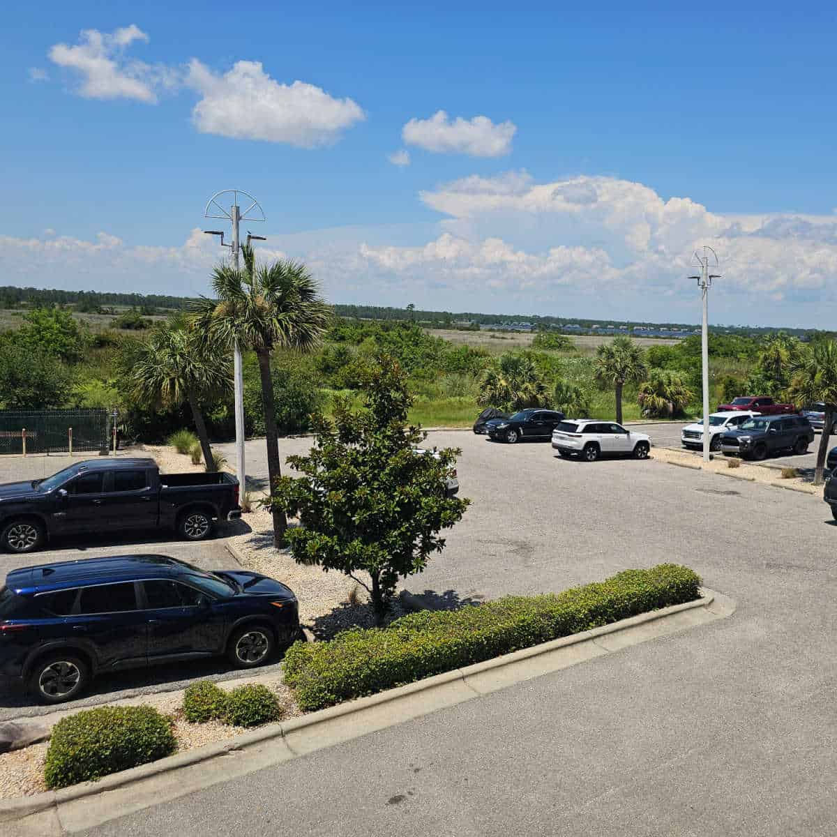 Parking area with cars in rows, park land behind the parking area