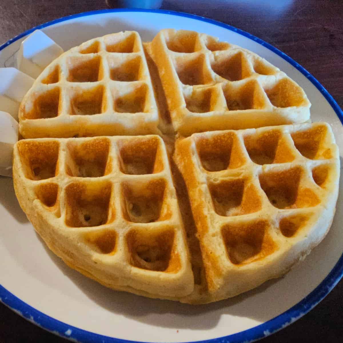 belgian waffle on a white plate with a blue rim