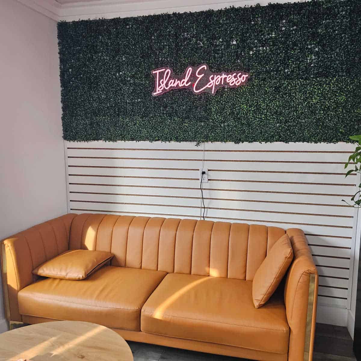 leather couch with two pillows below a greenery wall with Island espresso neon light in the middle