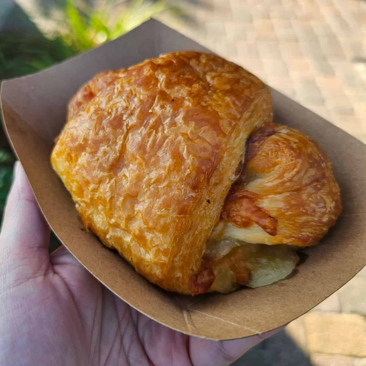 ham and cheese croissant in a paper plate