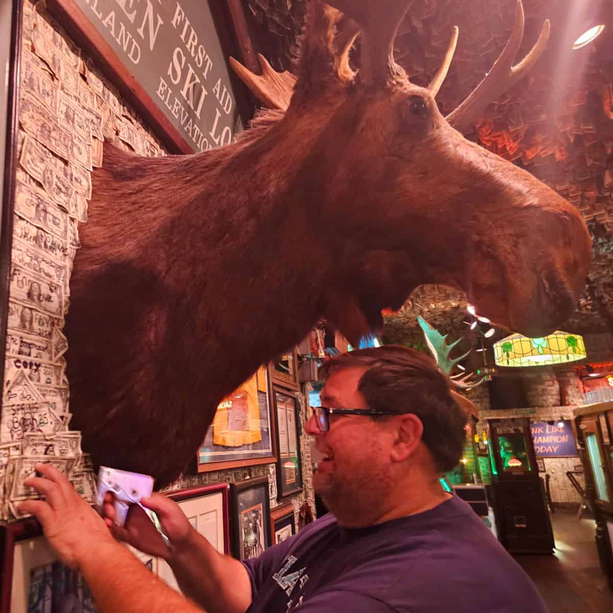 John standing below a giant moosehead stapling a dollar bill to the wall