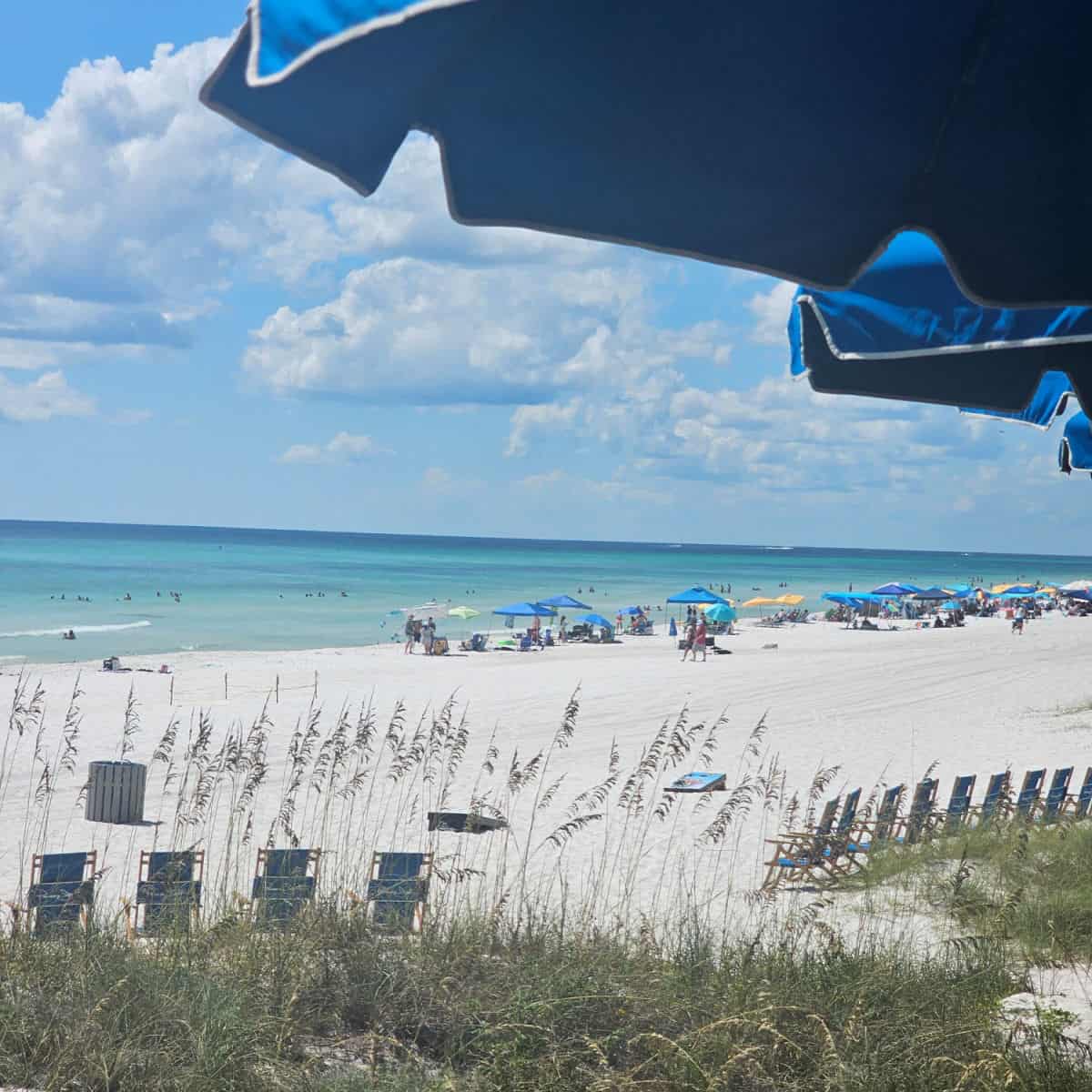 looking out from under a blue umbrella to white sand beach and Gulf waters