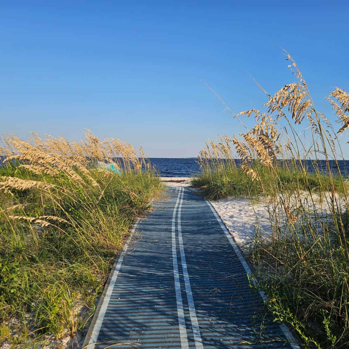 accessibility mat through the sand with sea oats on either side leading to the Gulf