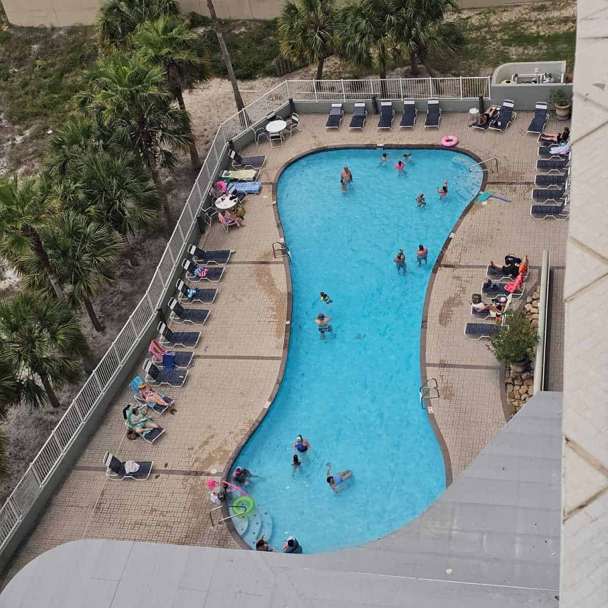 looking down over a pool with people in the water, lounge chairs around the pool deck, palm trees outside of the white fence