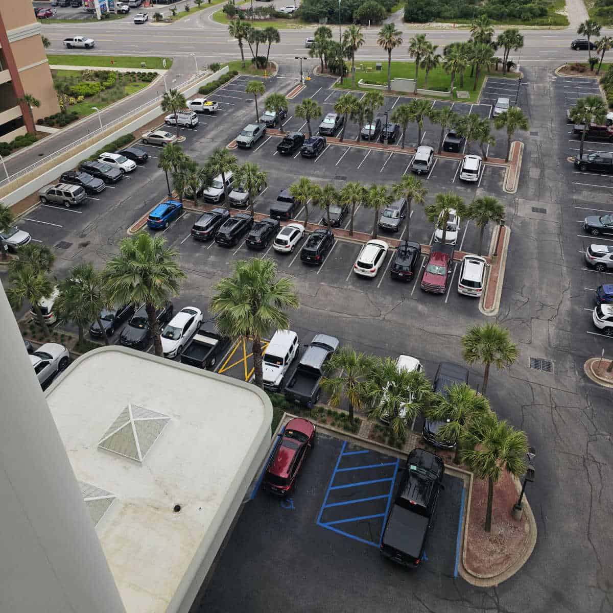 looking over a parking lot with palm trees and cars randomly parked