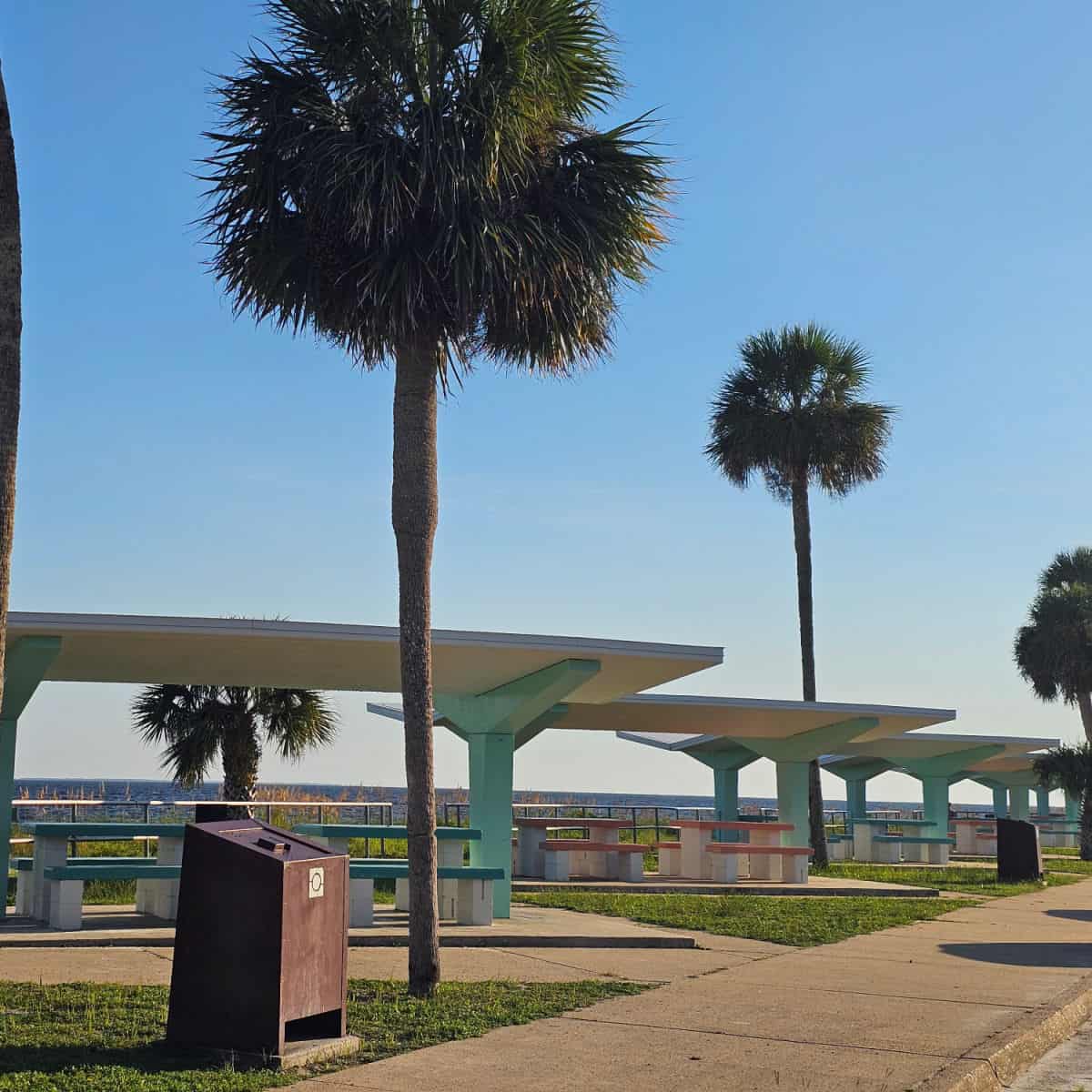 palm trees over retro picnic area with tables and chairs