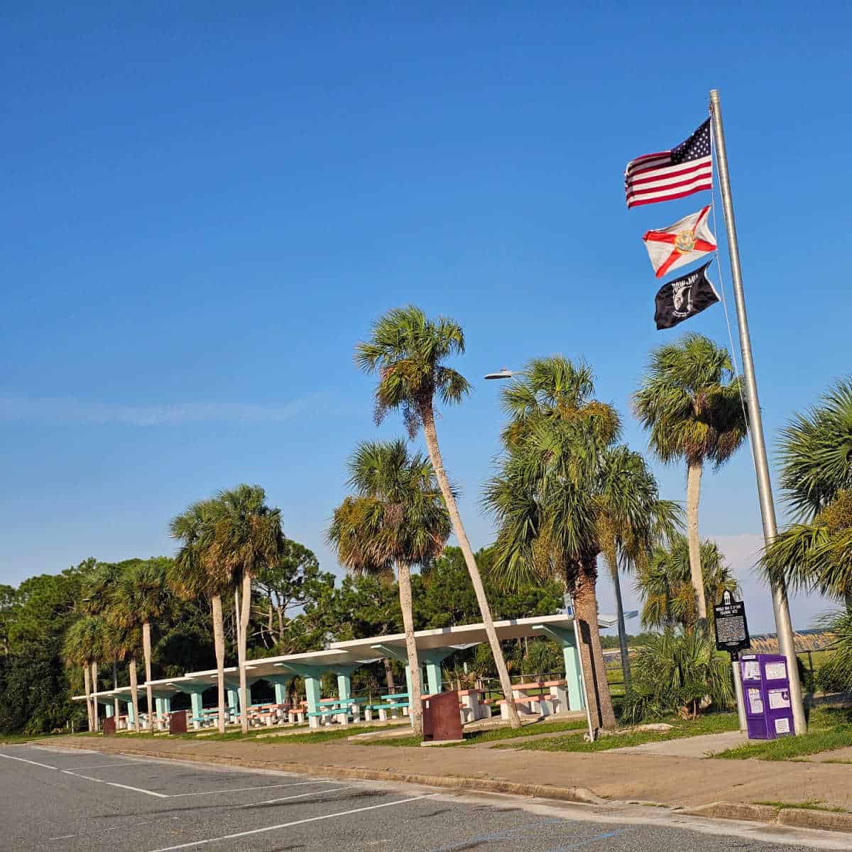 flags and palm trees over retro picnic areas and parking area