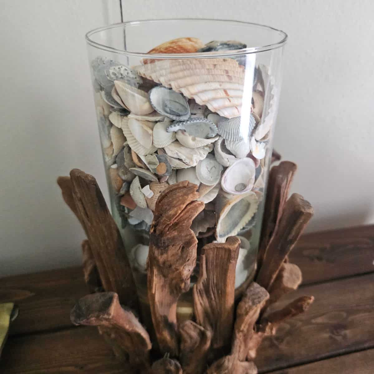 jar of shells with a driftwood base on a wooden table
