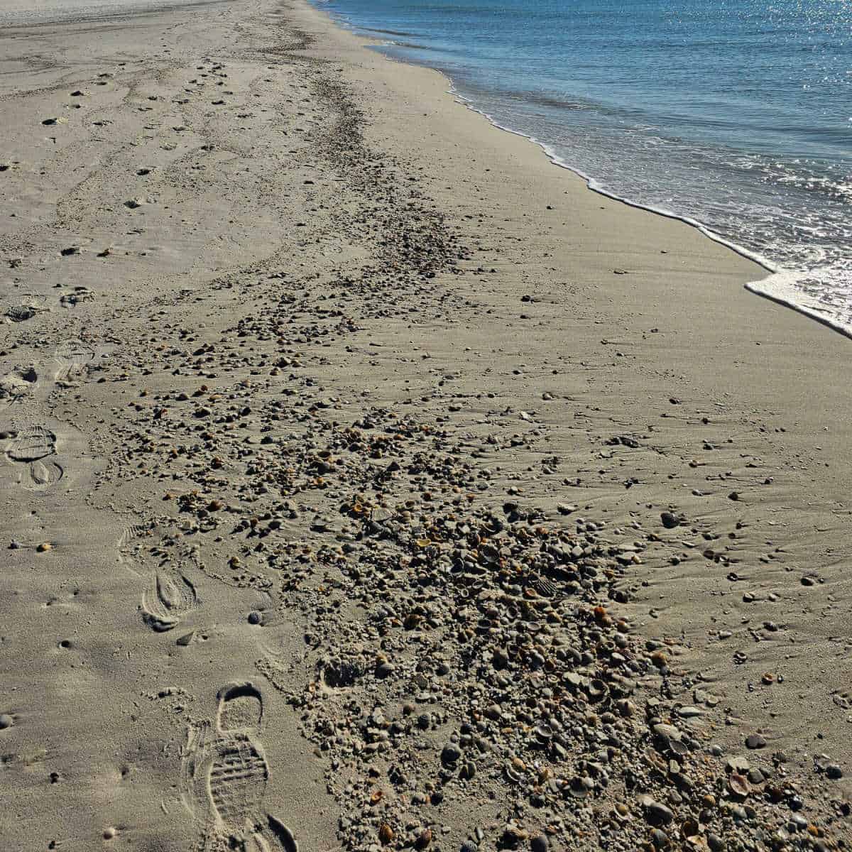 shells and footsteps along the shoreline with calm Gulf waters