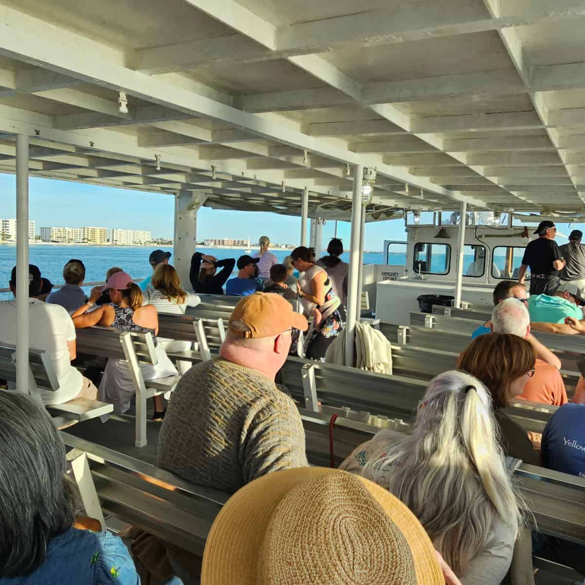 outdoor covered seating on the Southern Star dolphin tour with people on bench seats