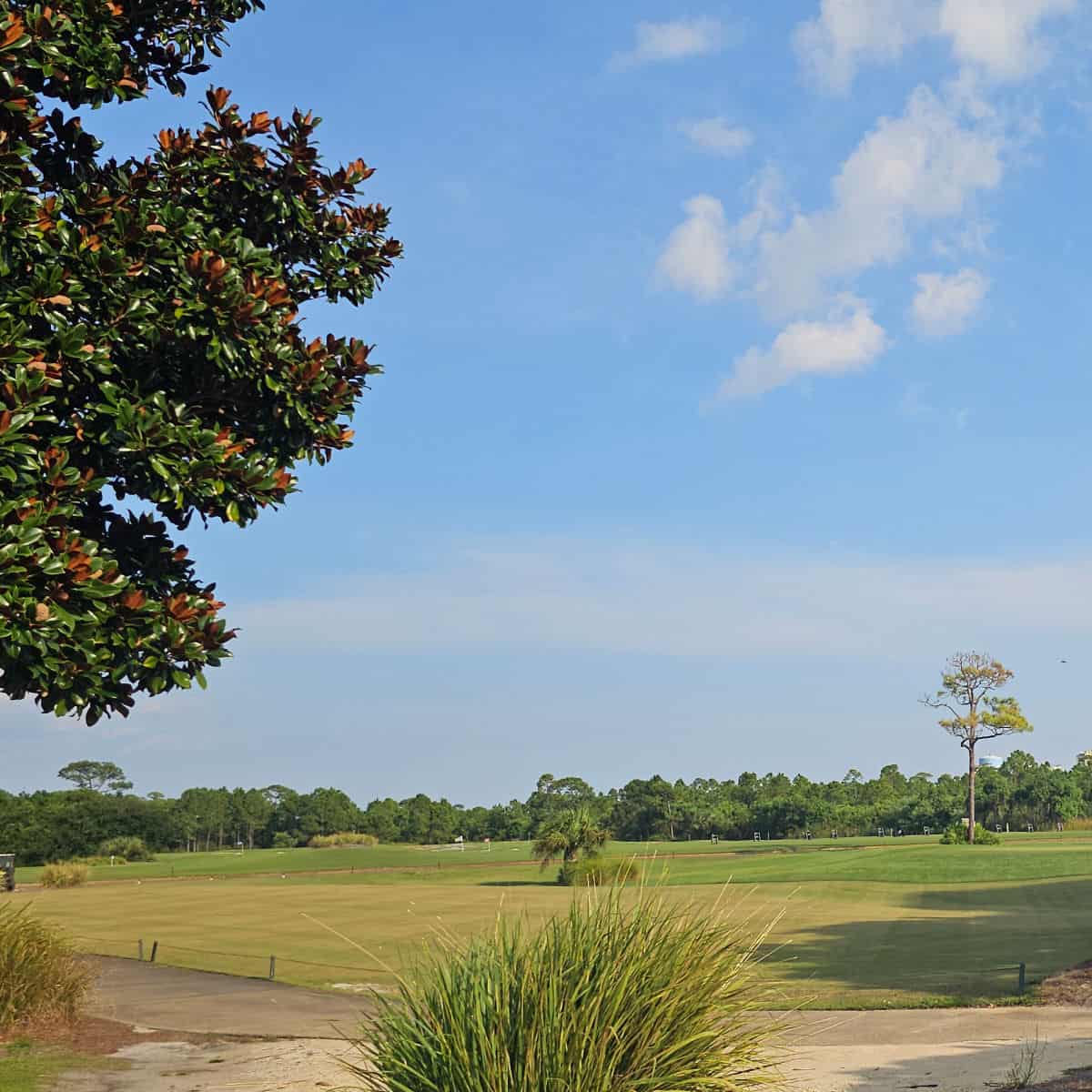 Looking towards the Arnold Palmer Signature Course at Lost Key Golf Club